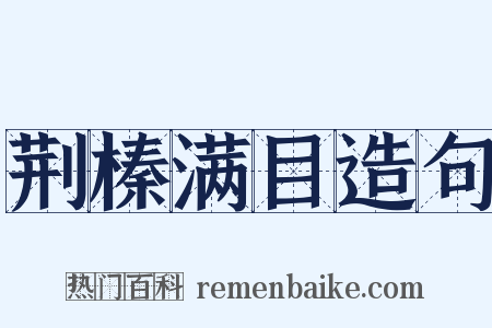 荆榛满目造句是什么意思的图片